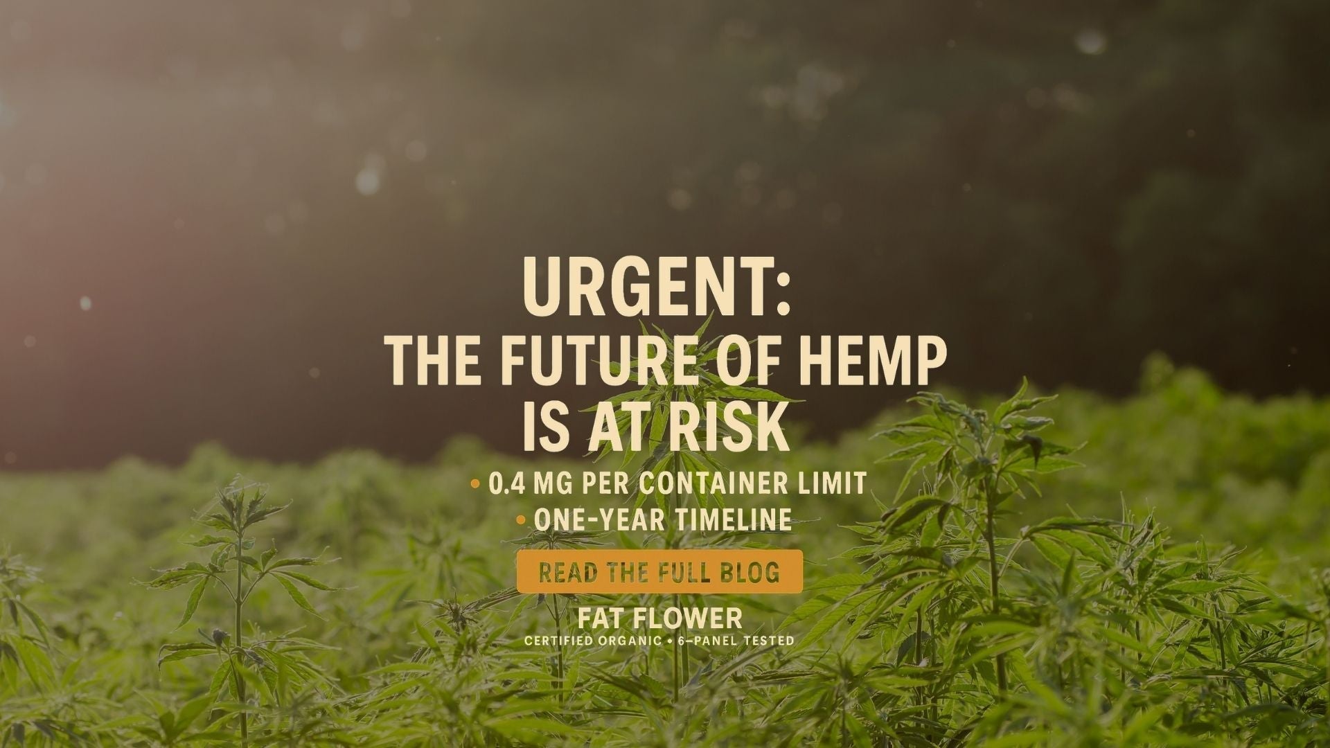 ⚠️URGENT HEMP INDUSTRY UPDATE⚠️