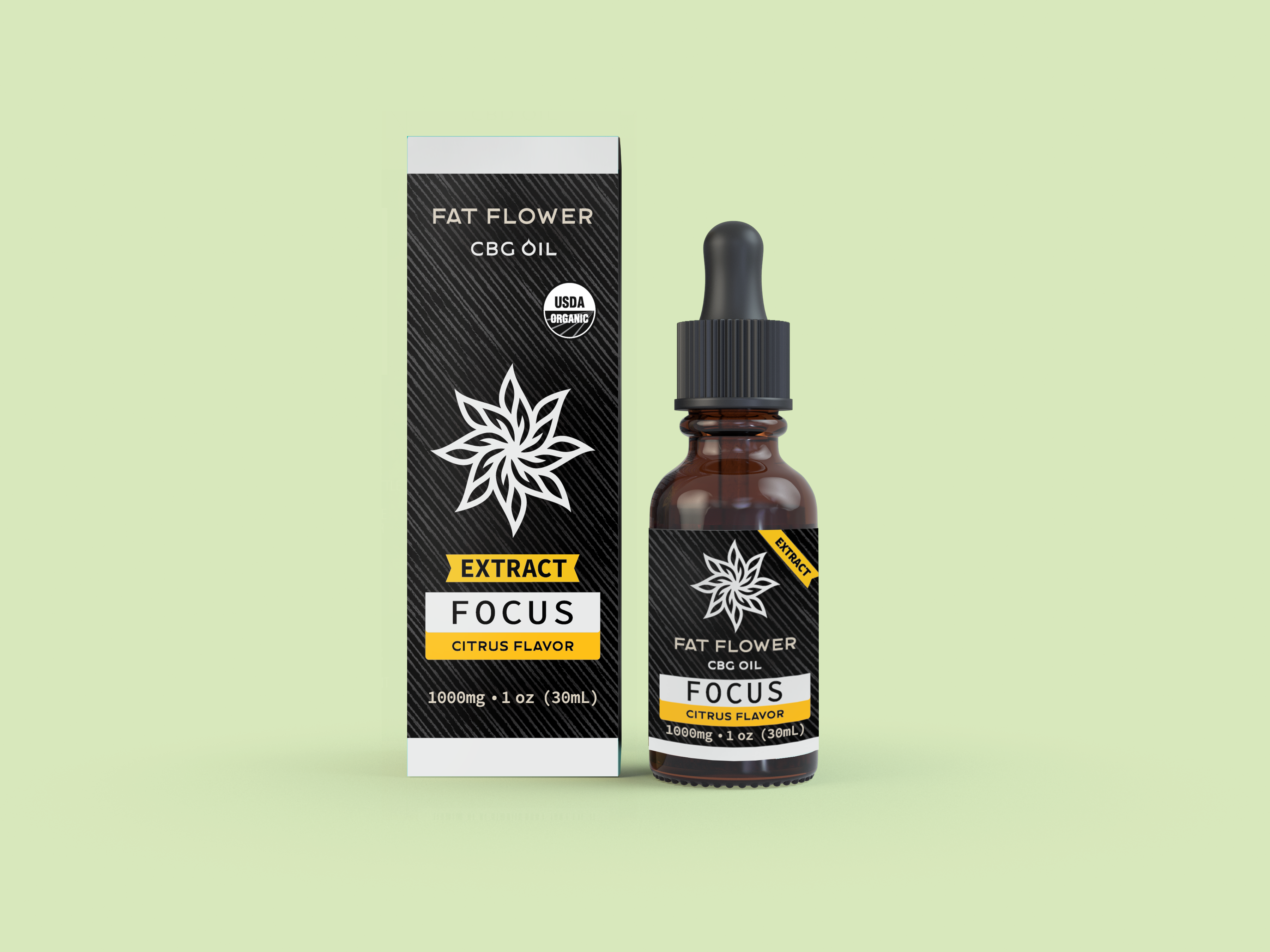 FOCUS - CBG