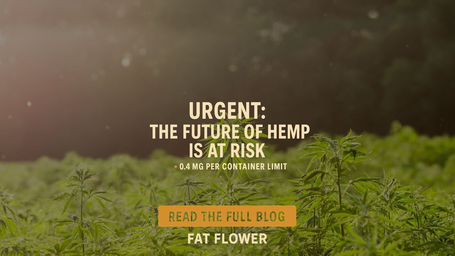 ⚠️URGENT HEMP INDUSTRY UPDATE⚠️