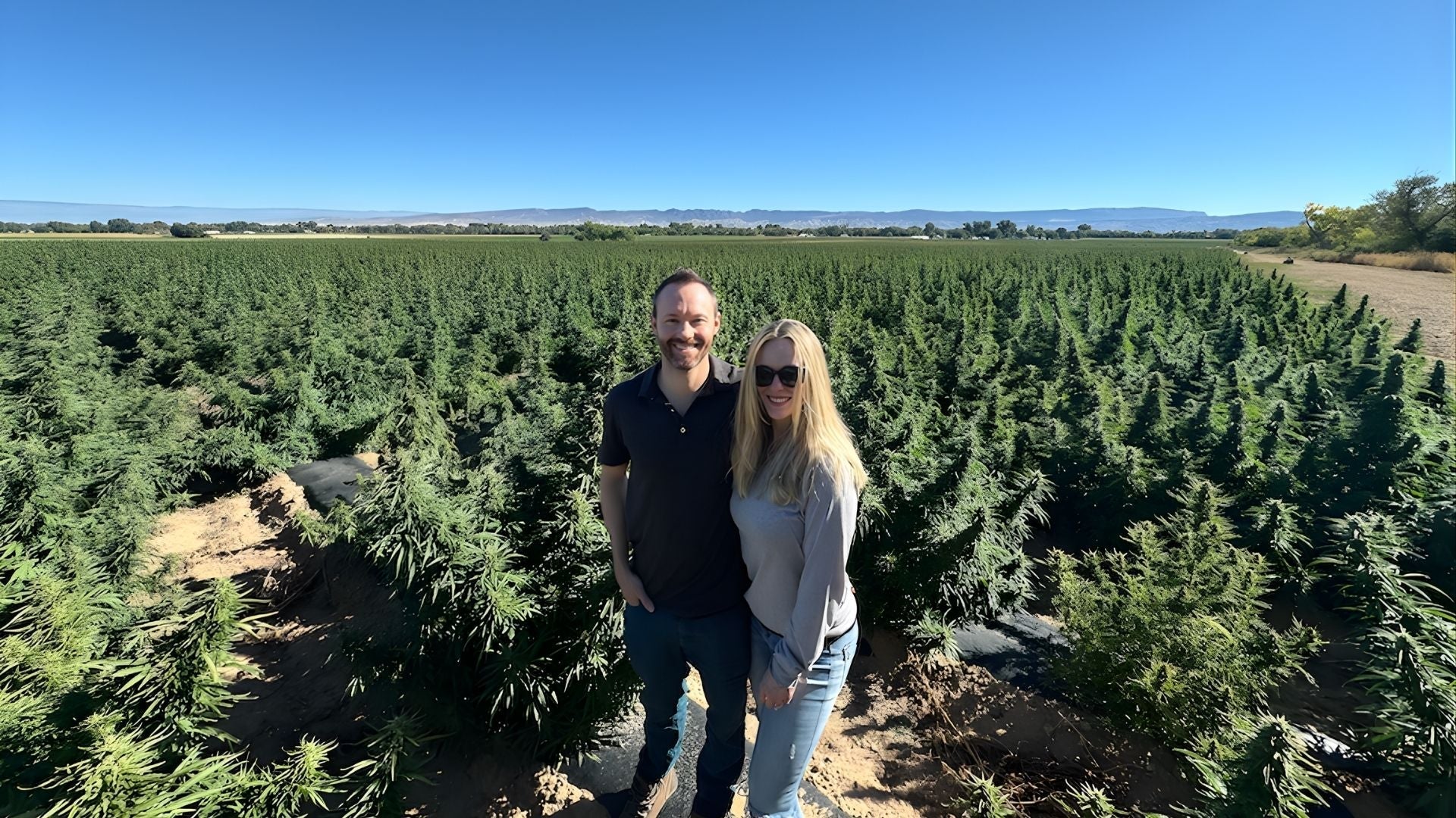 Harvest Season Reflections: Notes from the Castle Rock Area